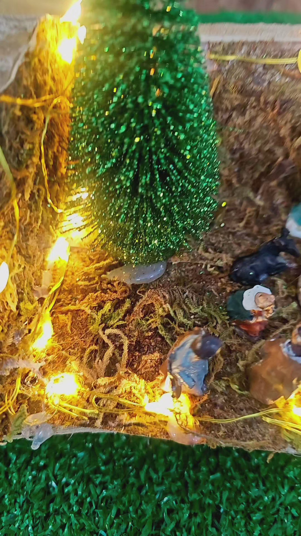 Presepe nel tronco